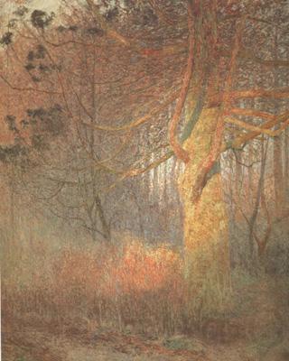 Emile Claus Tree in the Sun (nn02) Norge oil painting art